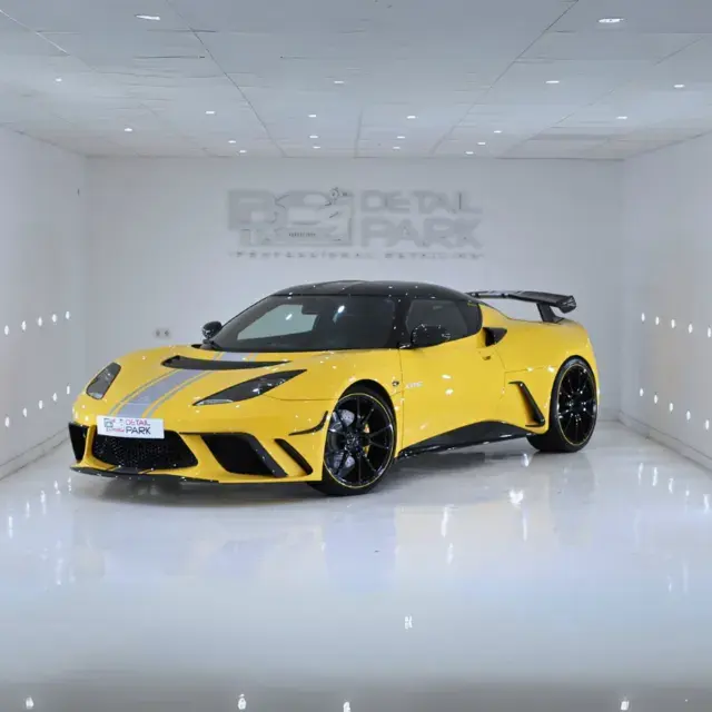 Lotus amarillo con franjas, en el estudio de Detail Park